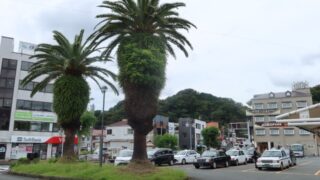 伊豆急下田駅　タクシー乗り場