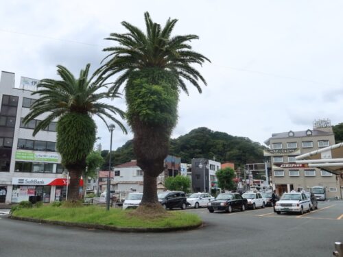 伊豆急下田駅　タクシー乗り場